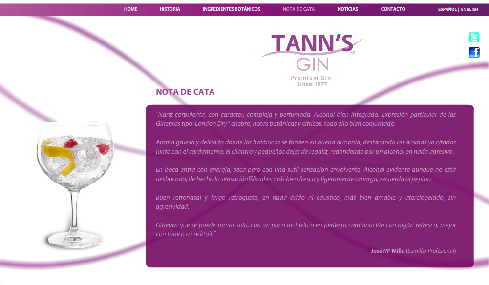 diseño y desarrollo web tanns gin